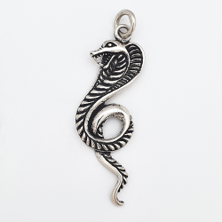 Snake pendant 