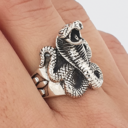 Snake ring and lily 